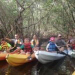 Fort Myers: Guided Kayaking Eco Tour In Pelican Bay Tour Overview