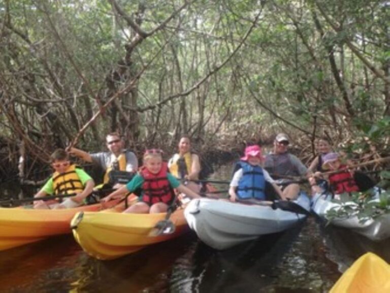 Fort Myers: Guided Kayaking Eco Tour In Pelican Bay Tour Overview