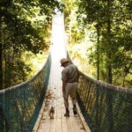 Foxfire Mountain: Hiking & Swinging Bridge Family Adventure Adventure Overview