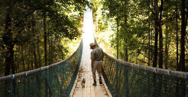 Foxfire Mountain: Hiking & Swinging Bridge Family Adventure Adventure Overview