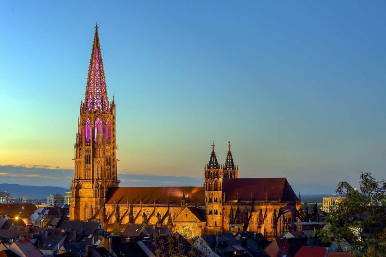 Freiburg: Guided Walking Tour Tour Details