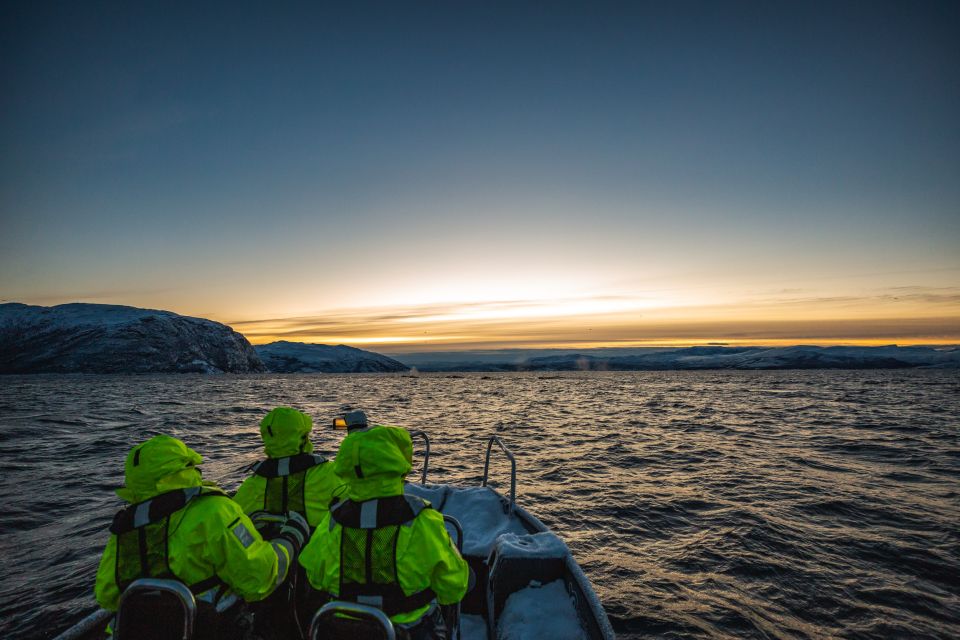 From Alta: Fjord & Whale Adventure - Whale Watching Expedition