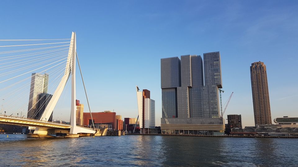 From Amsterdam: Rotterdam and Zaanse Schans Private Day Trip - Tour Overview and Pricing