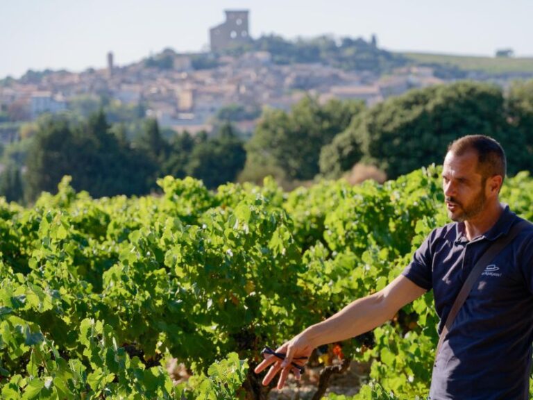 From Avignon: Luberon And Chateauneuf Du Pape Discovering Luberon Villages