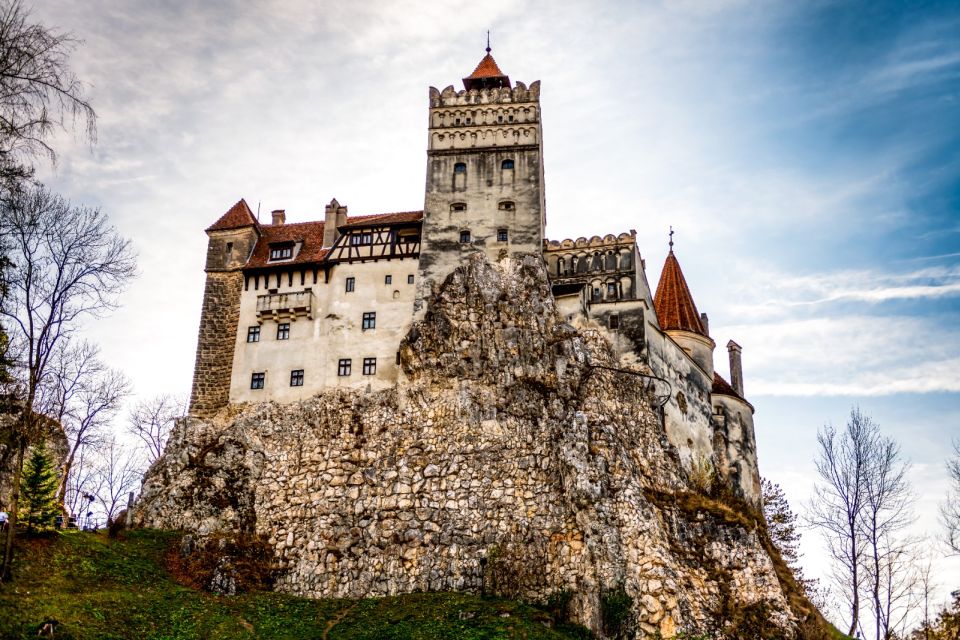 From Bucharest: Draculas Castle & Bear Sanctuary Adventure - Tour Overview