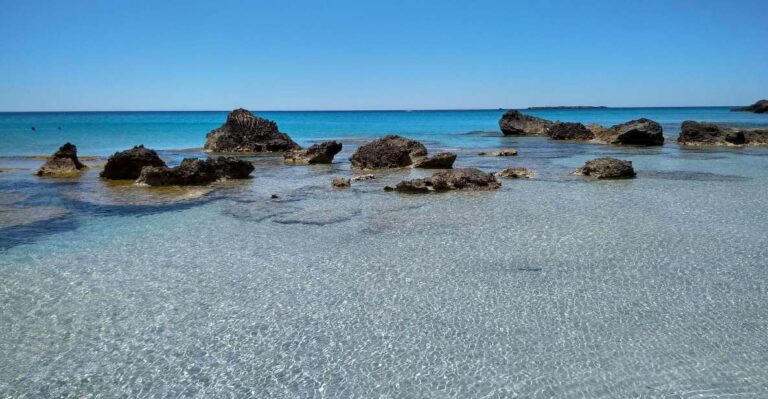 From Chania: Falassarna Beach, Wine & Olive Oil Private Tour Tour Overview