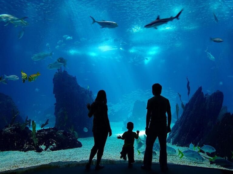 From City Of Side: Antalya Aquarium Full Day Trip Trip Details And Pricing