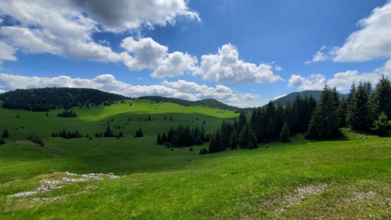 From Cluj Napoca: Carpathian Mountains Guided Scenic Hike Activity Overview