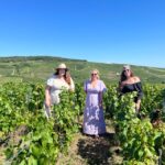 From Epernay: Afternoon Champagne Tour With 6 Tastings Tour Overview