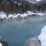 From Fairbanks: Chena Hot Springs Northern Lights Tour Tour Details And Inclusions