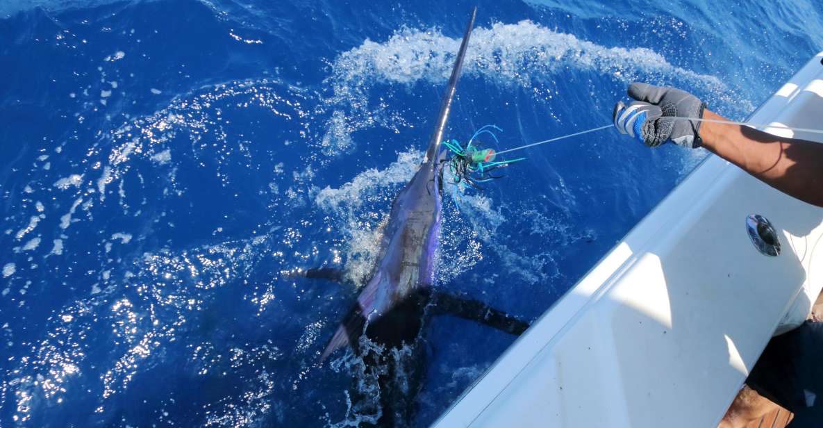 From Funchal : Big Game Fishing Boat Trip - Overview of Big Game Fishing