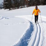 From Gardiner: Guided Yellowstone Cross Country Skiing Tour Activity Overview