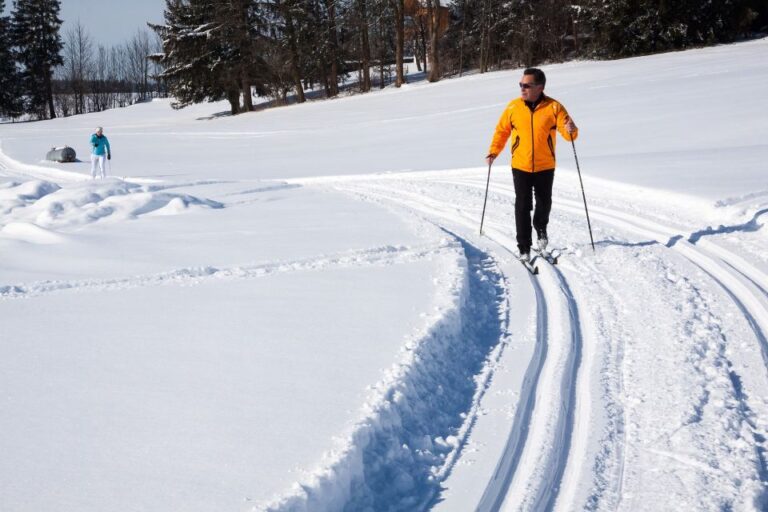 From Gardiner: Guided Yellowstone Cross Country Skiing Tour Activity Overview