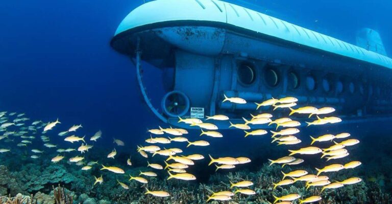 From Kona: Big Island Underwater Submarine Adventure Exploring Konas 25 Acre Marine Life