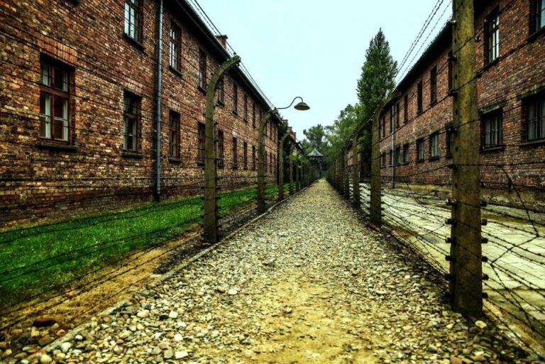 From Krakow: Guided Auschwitz Birkenau Group Tour By Minivan Tour Overview And Pricing