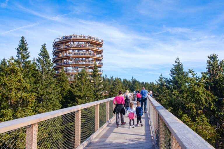 From Krakow: Slovakia Treetop Walk Bachledka Private Tour Tour Overview