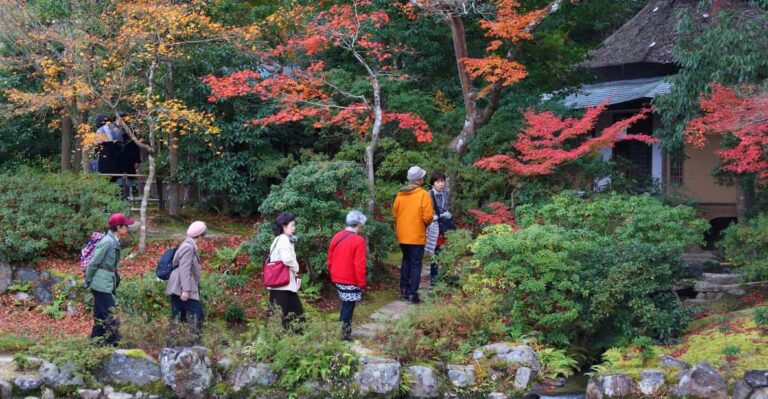 From Kyoto Or Osaka: Private Walking Tour Through Nara Tour Overview