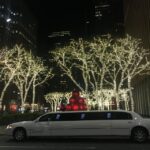 From Manhattan: Private Brooklyn Christmas Tour By Limousine Description Of The Tour