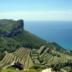 From Marseille: Bandol/cassis Wine Tour With Viewpoint Tour Duration And Inclusions