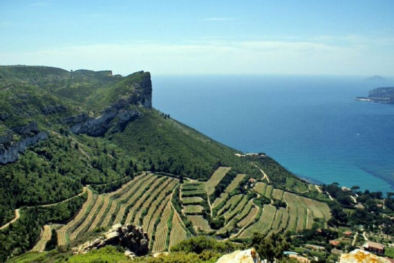 From Marseille: Bandol/cassis Wine Tour With Viewpoint Tour Duration And Inclusions