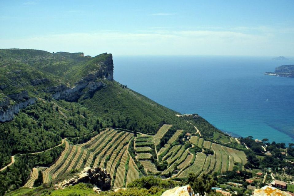 From Marseille: Bandol/Cassis Wine Tour With Viewpoint - Tour Duration and Inclusions