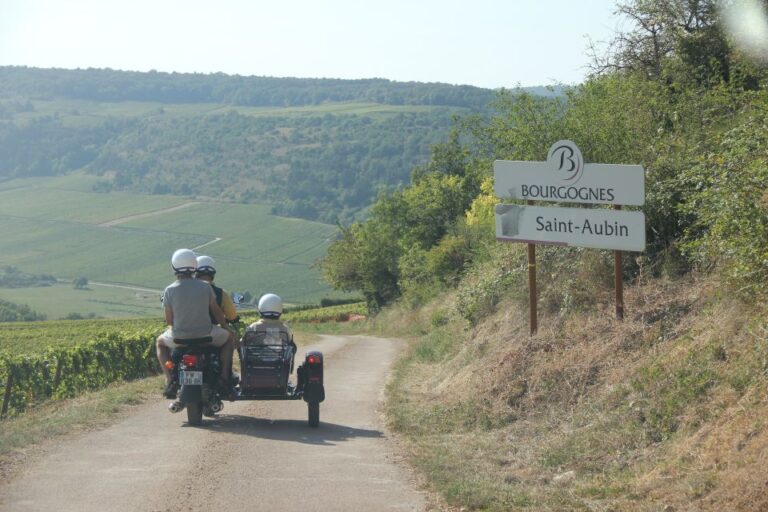 From Meursault: Private Sidecar Tour & Vineyard Wine Tasting Immersive Sidecar Tour