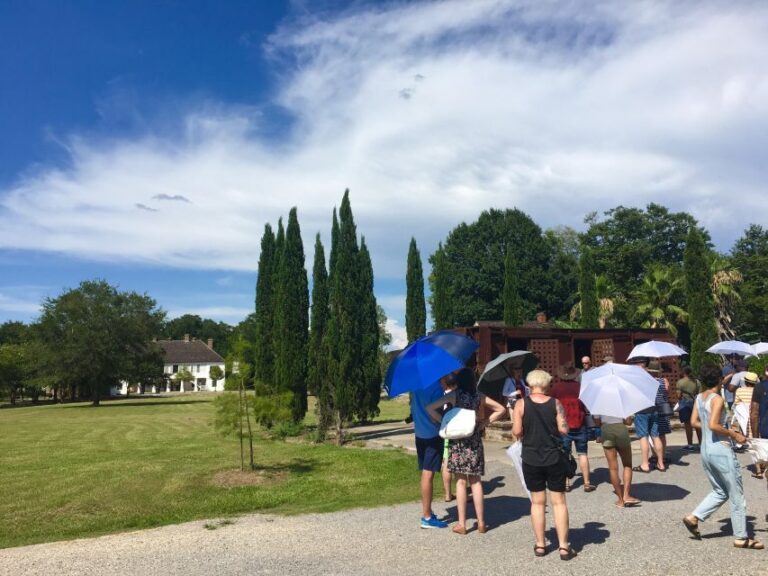 From New Orleans: Whitney And Laura Guided Plantation Tour Tour Overview