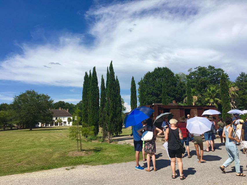 From New Orleans: Whitney and Laura Guided Plantation Tour - Tour Overview