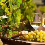 From Nice: Antibes & St Paul De Vence Tour With Wine Tasting Tour Overview