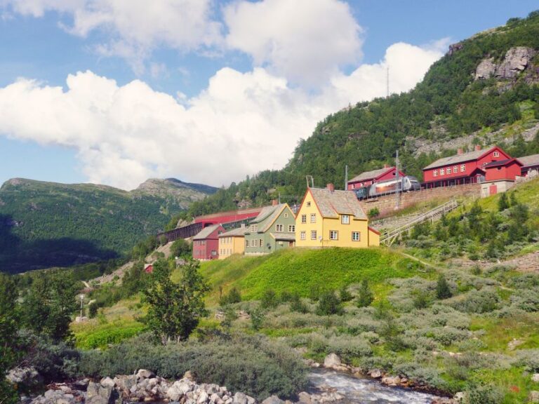 From Oslo: Private Round Trip Tour To Sognefjord Via Flåm Included In The Tour