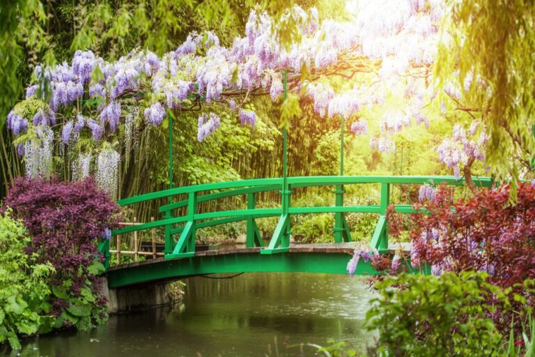 From Paris: Giverny, Monet's House, & Gardens Half Day Trip Tour Details