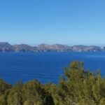 From Port Dalcudia: 2 Hour Sightseeing Quad Tour Tour Overview And Details