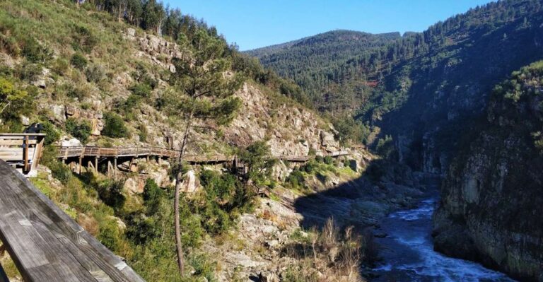 From Porto: Arouca 516 And Paiva Walkways Guided Day Trip Tour Overview