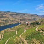 From Porto Day Douro Valley Wine Tour 2 Wineries & Lunch Tour Duration And Pickup