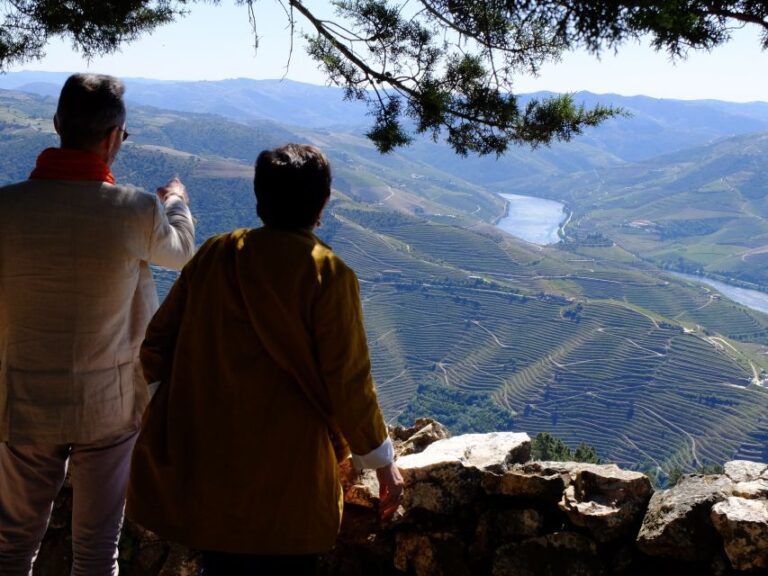 From Porto: Douro Region Private Food And Wine Day Tour Tour Overview