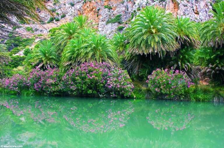 From Rethymno/chania: Day Trip To Preveli Palm Beach Overview And Pricing