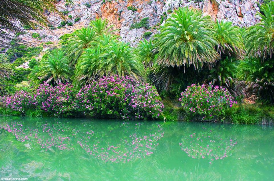 From Rethymno/Chania: Day Trip to Preveli Palm Beach - Overview and Pricing