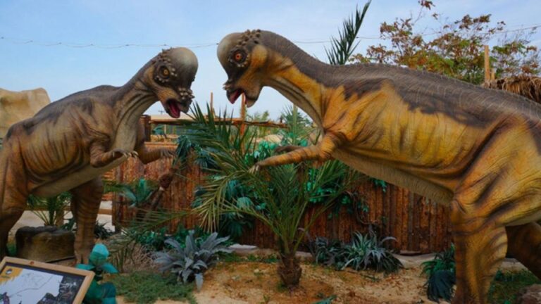 From Rethymno: Day Trip To Dinosauria Park And Cretaquarium Trip Overview And Pricing