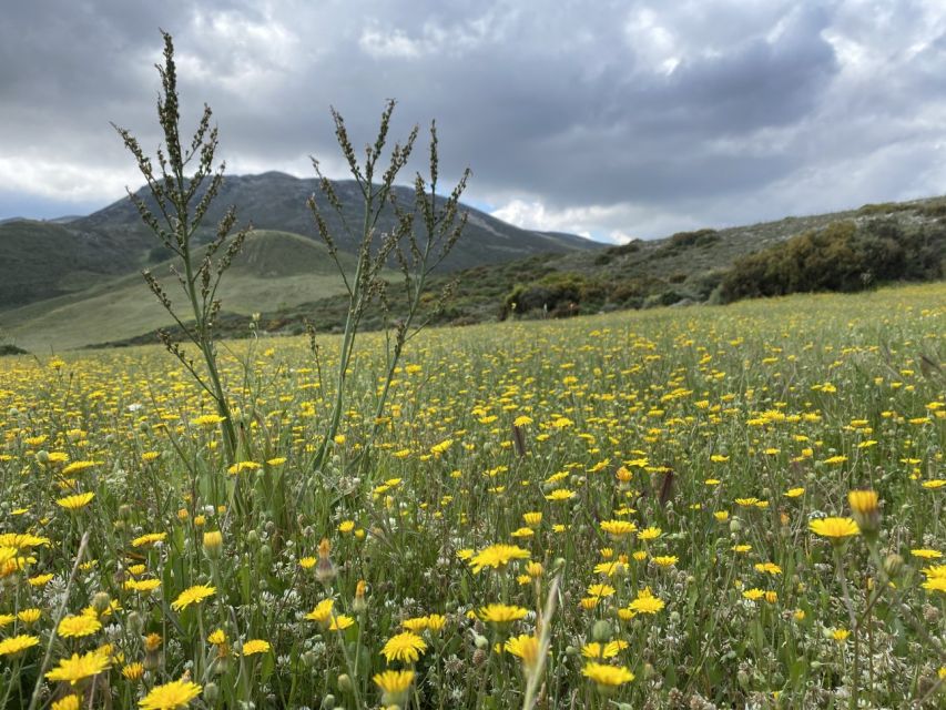 From Rethymno: Eleven Gates Hike on The Shepherds Path - Tour Overview and Pricing