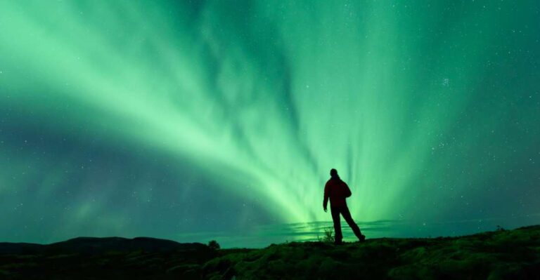 From Reykjavik: Blue Lagoon And Northern Lights Tour Tour Duration And Pricing