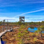 From Riga: Best Of Kemeri National Park In One Day Tour Description