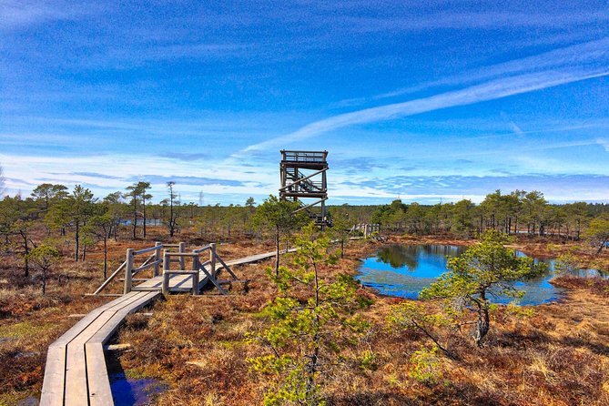 From Riga: Best of Kemeri National Park In One Day - Tour Description