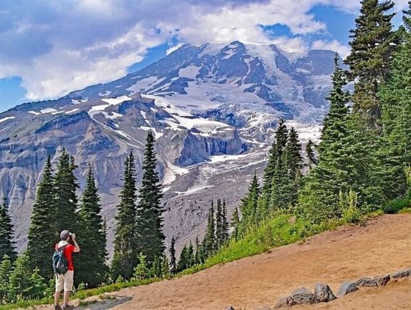 From Seattle: Full-Day Mt Rainier National Park Tour - Discover the National Park