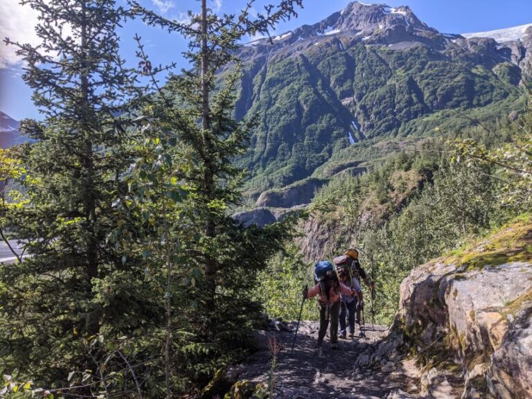 From Seward: 4 Hour Wilderness Hiking Tour Tour Overview