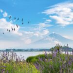 From Tokyo: 1 Day Private Mt. Fuji Tour By Car Pickup And Accessibility