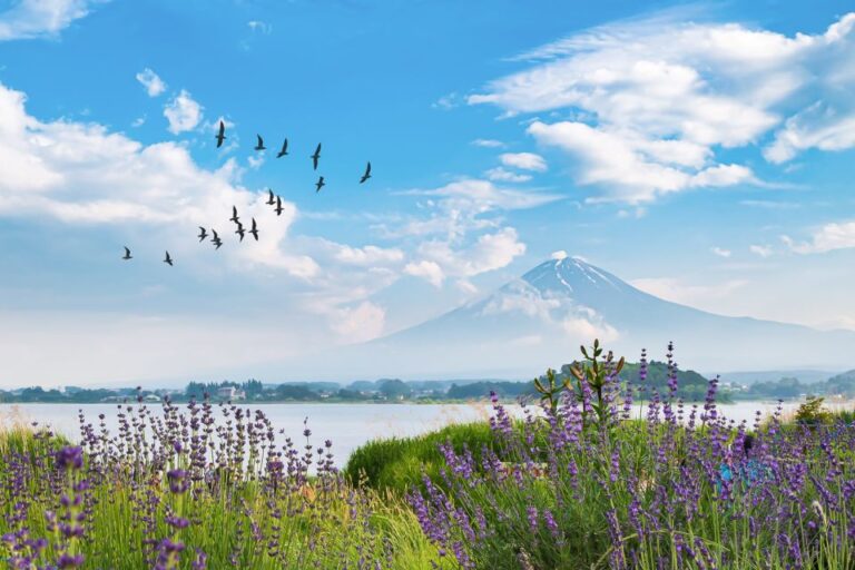 From Tokyo: 1 Day Private Mt. Fuji Tour By Car Pickup And Accessibility