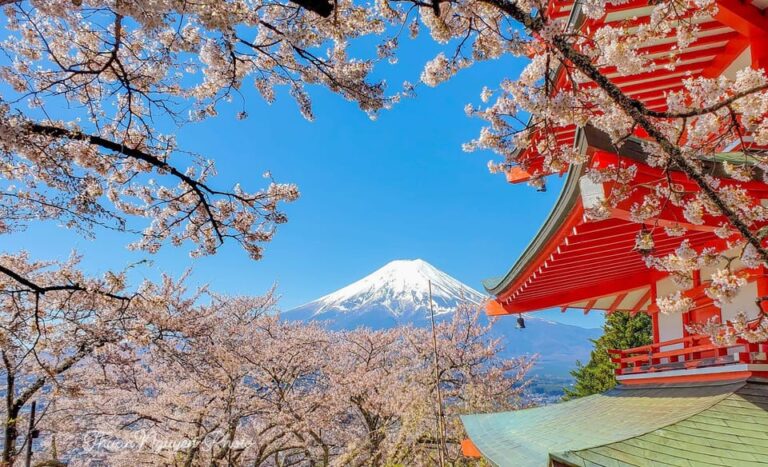 From Tokyo: Mt Fuji And Lake Kawaguchiko Private Day Trip Tour Overview And Pricing