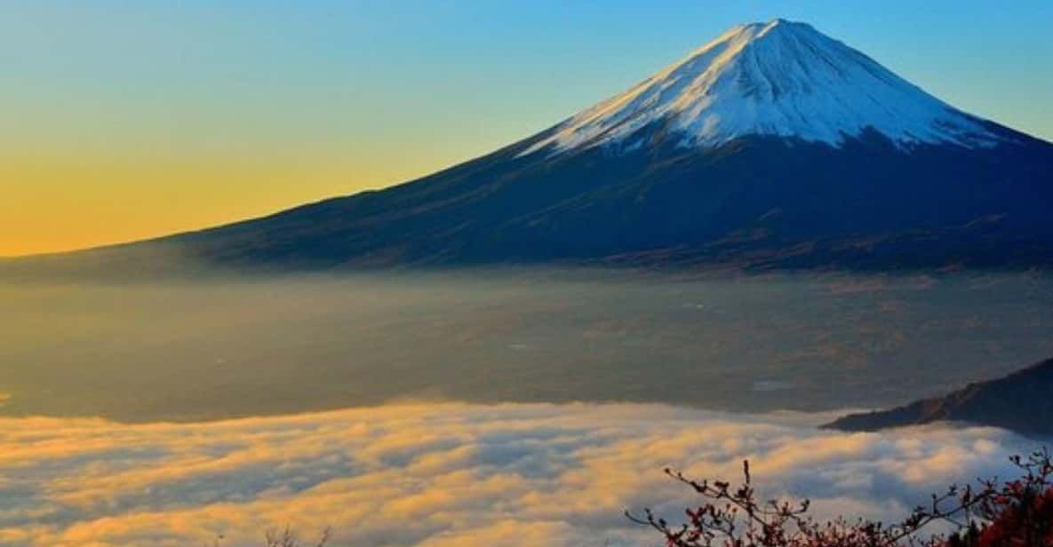 From Tokyo: Mt Fuji Private Day Tour In Land Cruiser ZX - Pickup and Accessibility