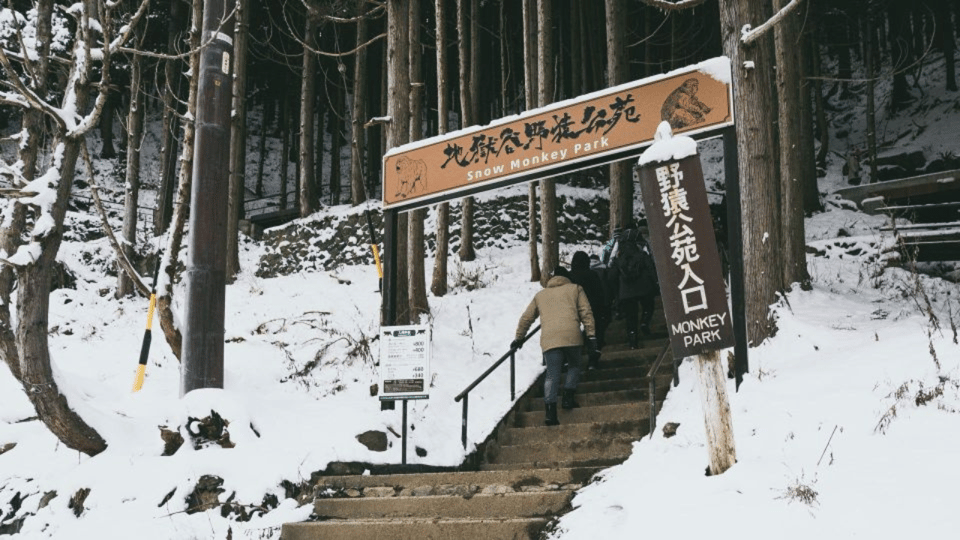 From Tokyo: Private Tour Snow Monkey Park & Zenko-ji Temple - Transportation and Accessibility