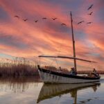 From Valencia: Cullera Old Town And Albufera Natural Park Discovering Culleras Charming Old Town